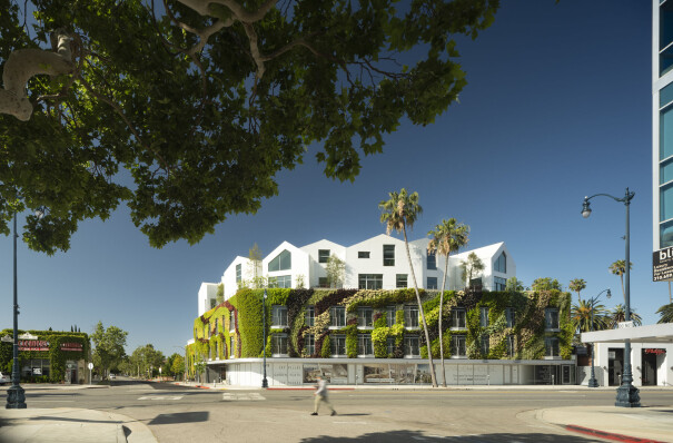 Detail: Living Wall of Gardenhouse, Los Angeles