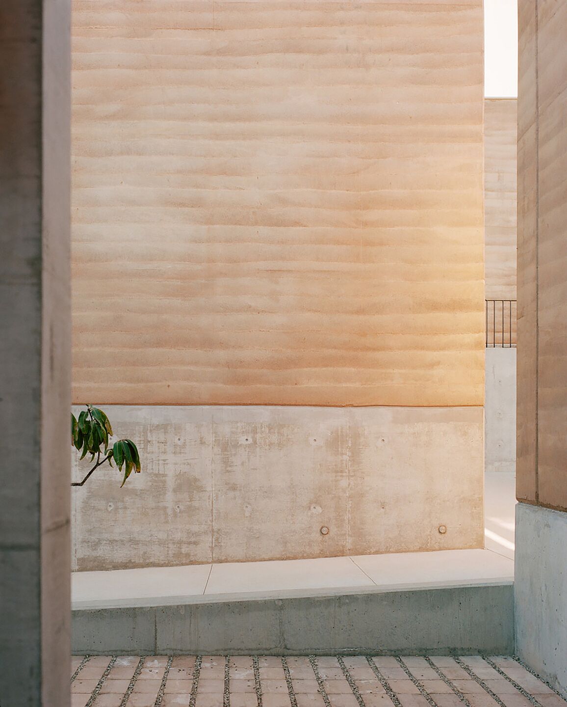 photo_credit Rory Gardiner