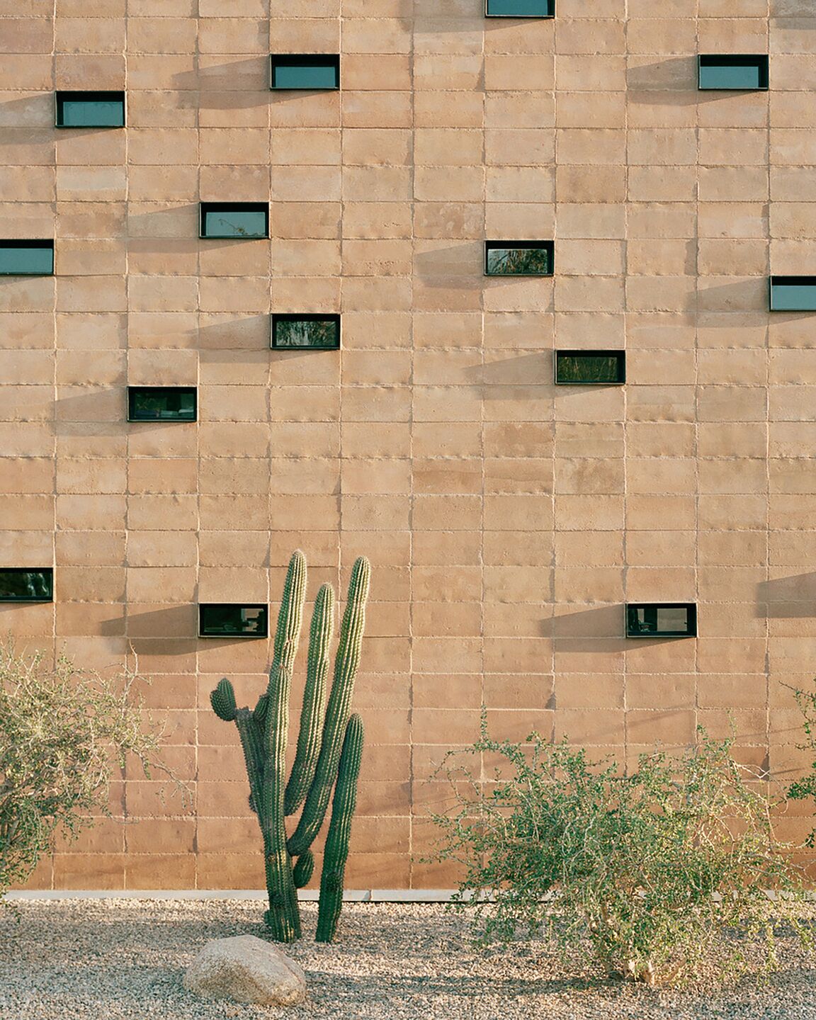 photo_credit Rory Gardiner