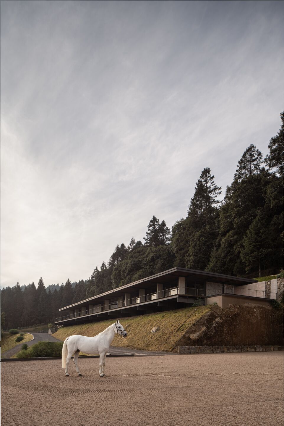 photo_credit Cesar Belio