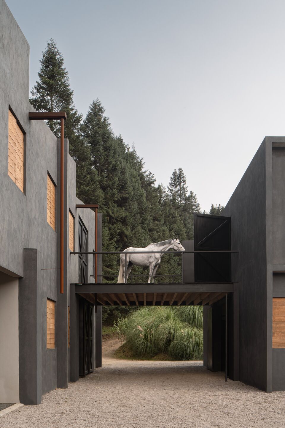 photo_credit Cesar Belio