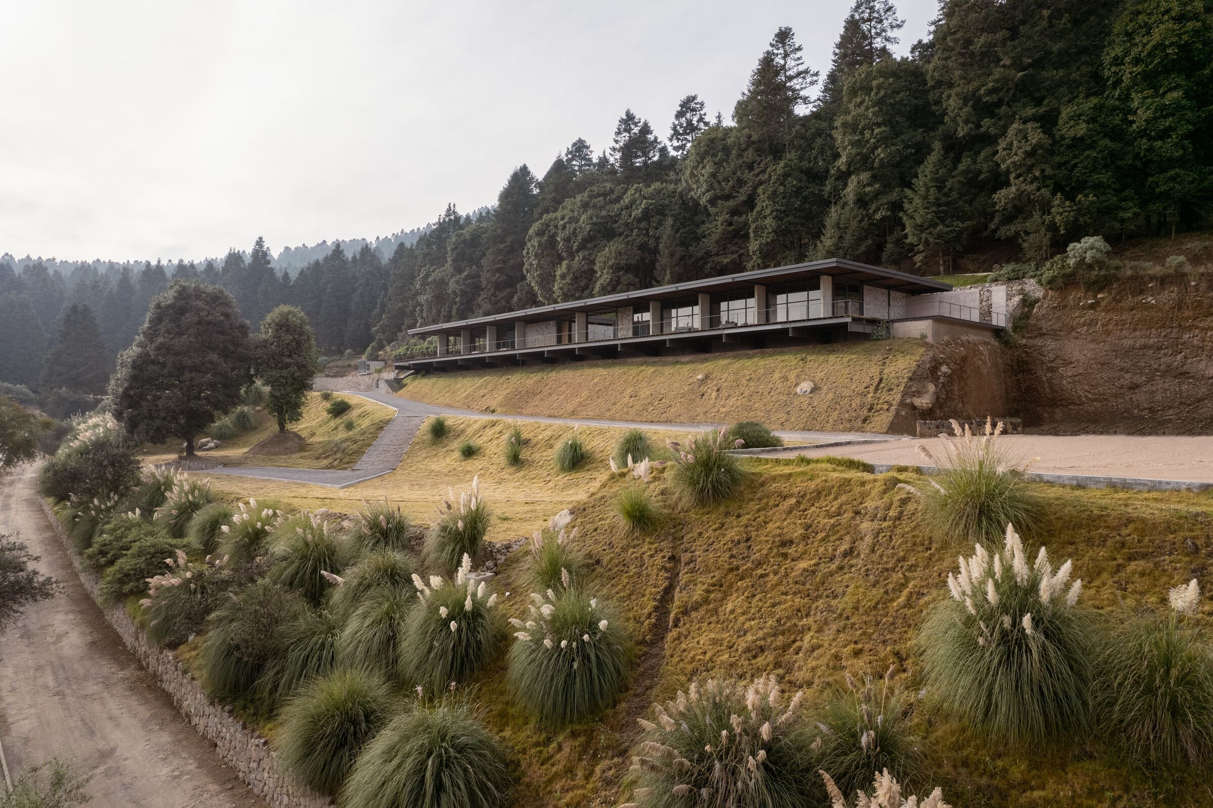 photo_credit Cesar Belio