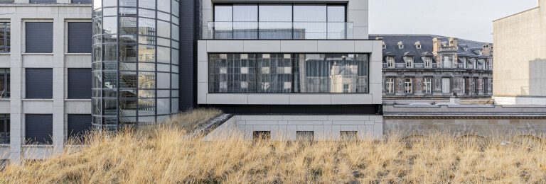 The Duke - VIVA Architecture